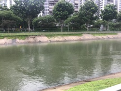 Blk 470B Upper Serangoon Crescent (Hougang), HDB 3 Rooms #204117021